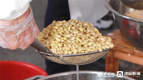 黃河岸邊黨旗紅 古鎮東豆產業興
