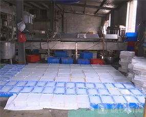 豆制品加工廠驚現衛生亂象 生蛆原料與三無產品流入市場