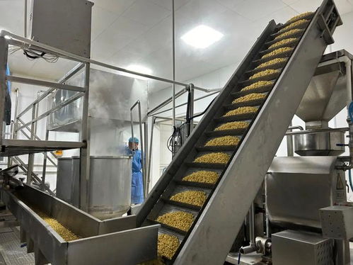 新年新氣象，企業生產忙，豆制品銷售力爭“開門紅”